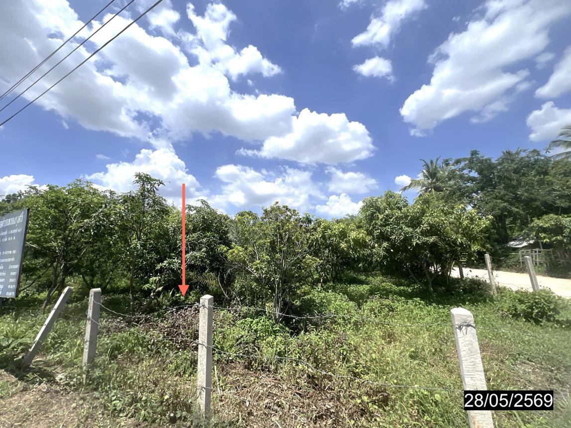 รูป ที่ดินว่างเปล่า 188 ตร.วา หนองกุงศรี กาฬสินธุ์ 621,000 - รูปที่ 12/20
