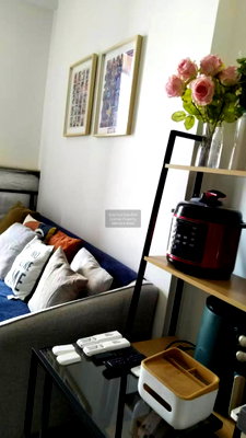 Condos for rent : For Rent Condo , Oka Haus Sukhumvit 36 , BTS-Thong Lo , Khlong Tan , Khlong Toei , Bangkok , CX-164770 ✅ Live chat with us ADD LINE @connexproperty ✅