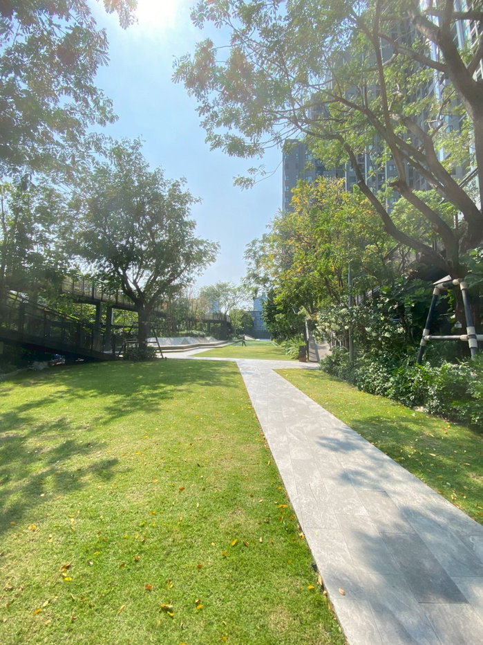รูป ให้เช่าคอนโด Life Sathorn Sierra (ไลฟ์ สาทร เซียร์รา) ห้องสวย พร้อมเข้าอยู่ทันที - รูปที่ 16/16