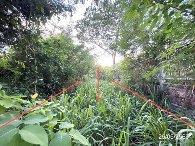 รูป ที่ดินว่างเปล่า 2134.8 ตร.วา วิเชียรบุรี เพชรบูรณ์ 5.6M - รูปที่ 2/30