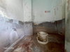 listing thumbnail image 29