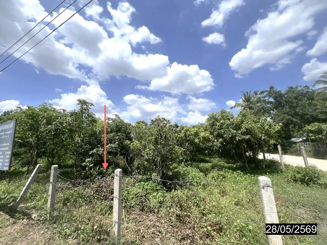 รูป ที่ดินว่างเปล่า 188 ตร.วา หนองกุงศรี กาฬสินธุ์ 621,000 - รูปที่ 4/20