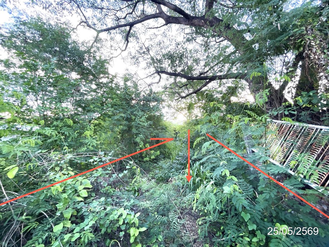 รูป ที่ดินว่างเปล่า 2134.8 ตร.วา วิเชียรบุรี เพชรบูรณ์ 5.6M - รูปที่ 16/30