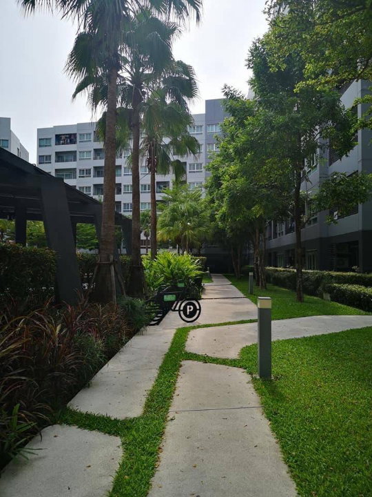 picture Elio Del Ray for rent fully furnished - 12/13