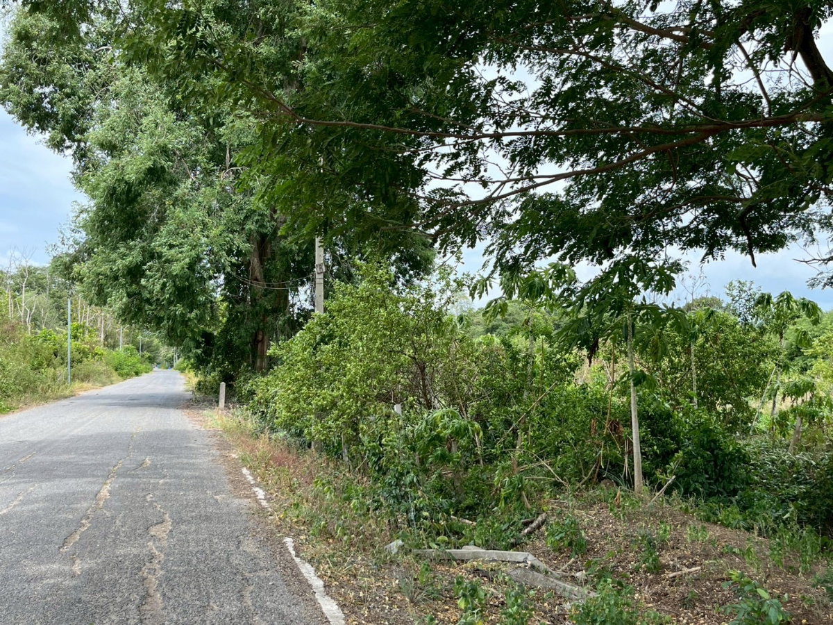 รูป ที่ดินจังหวัดกาญจนบุรี ติดถนนใหญ่ - ติดแม่น้ำแควใหญ่ - รูปที่ 6/6