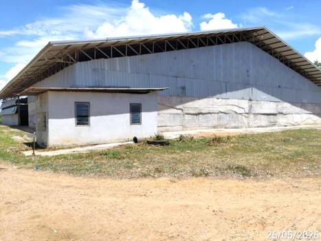 picture FACTORY 2362 Sq.w. Chalermphrakiet Nakhon Ratchasima for 13.3M - 41/44