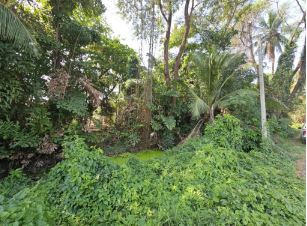 รูป ที่ดินว่างเปล่า 641 ตร.วา สามพราน นครปฐม สามพราน นครปฐม 8.5M - รูปที่ 6/13