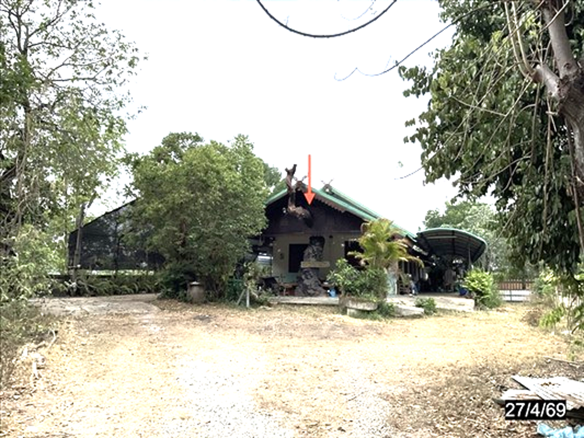 picture HOME 565 Sq.w. Phu Khieo Chaiyaphum for 3.3M - 5/12