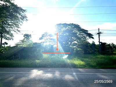 Land for sale : LAND 2134.8 Sq.w. Wichian Buri Phetchabun for 5.6M