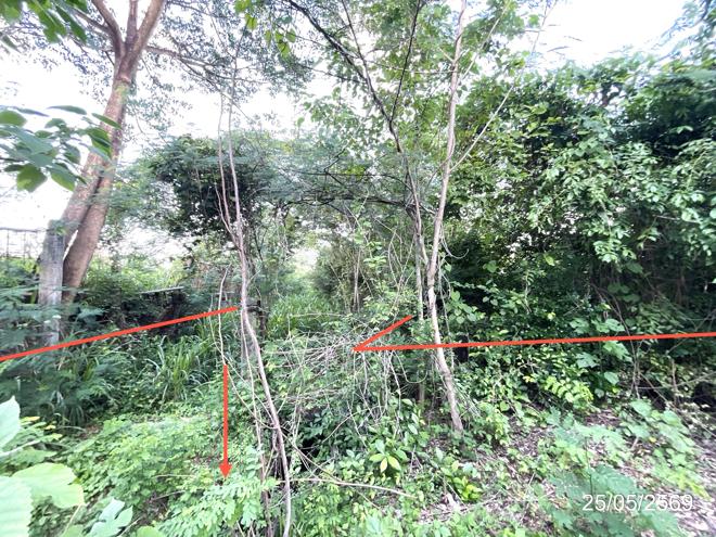 รูป ที่ดินว่างเปล่า 2134.8 ตร.วา วิเชียรบุรี เพชรบูรณ์ 5.6M - รูปที่ 4/30