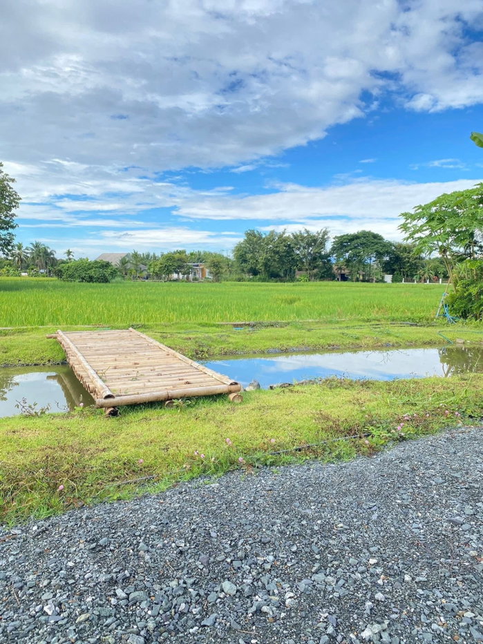 รูป บ้านสวยทำเลดี วิวธรรมชาติ บรรยากาศเงียบสงบ พร้อมอยู่ (อ.ดอยสะเก็ด) T. 063-6649056 - รูปที่ 15/23