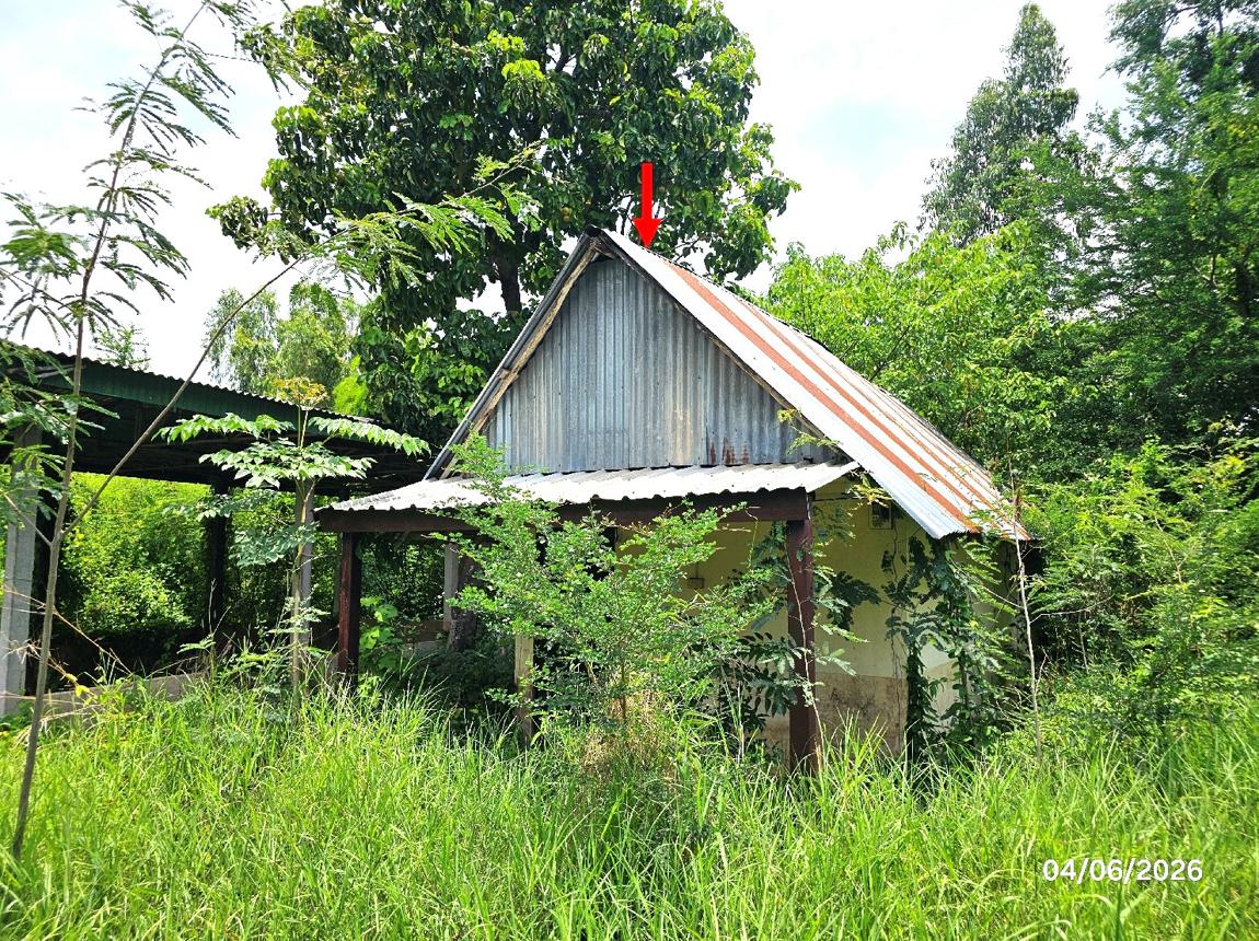 รูป บ้านเดี่ยว 1720 ตร.วา ตรอน อุตรดิตถ์ 4.6M - รูปที่ 33/42