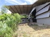 listing thumbnail image 21