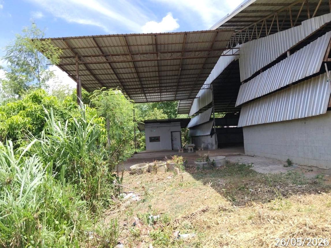 picture FACTORY 2362 Sq.w. Chalermphrakiet Nakhon Ratchasima for 13.3M - 22/44