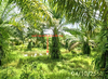 listing thumbnail image 14