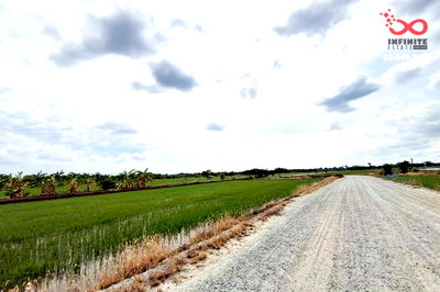 ขายที่ดิน : ขายที่ดิน 200 ตร.ว. บางเสาธง สมุทรปราการ หลัง ม.ABAC สุวรรณภูมิ