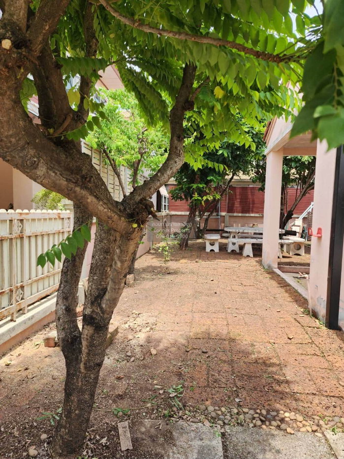 รูป เช่าบ้าน บ้านฟ้าปิยรมย์ พรีเมียร์ พาร์ค รังสิต-ลำลูกกา คลอง 6 บึงคำพร้อย ลำลูกกา ปทุมธานี CX-164487 ✅ ทักไลน์ @connexproperty ตอบทันที ทีมงานมืออาชีพ ✅ - รูปที่ 3/5