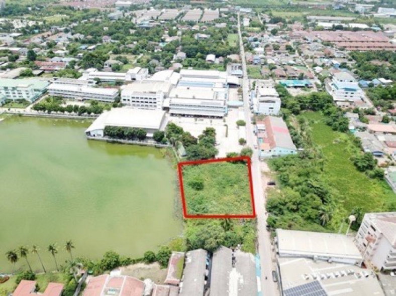 รูป ขายที่ดินริมทะเลสาบ ซอยหมอศรี สามพราน 621 ตร.ว. ทำเลสวย เหมาะสร้างบ้าน ร้านอาหาร คาเฟ่ หรือธุรกิจริมน้ำ - รูปที่ 2/8