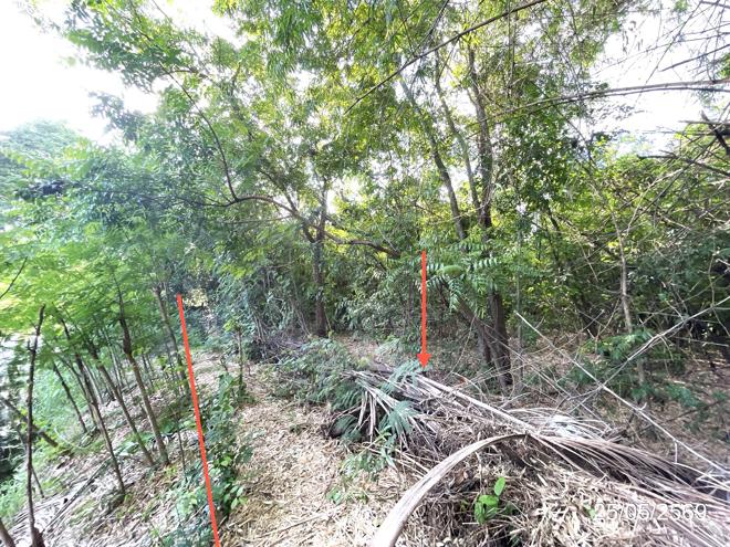 รูป ที่ดินว่างเปล่า 2134.8 ตร.วา วิเชียรบุรี เพชรบูรณ์ 5.6M - รูปที่ 10/30