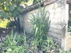 listing thumbnail image 28