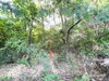 listing thumbnail image 24