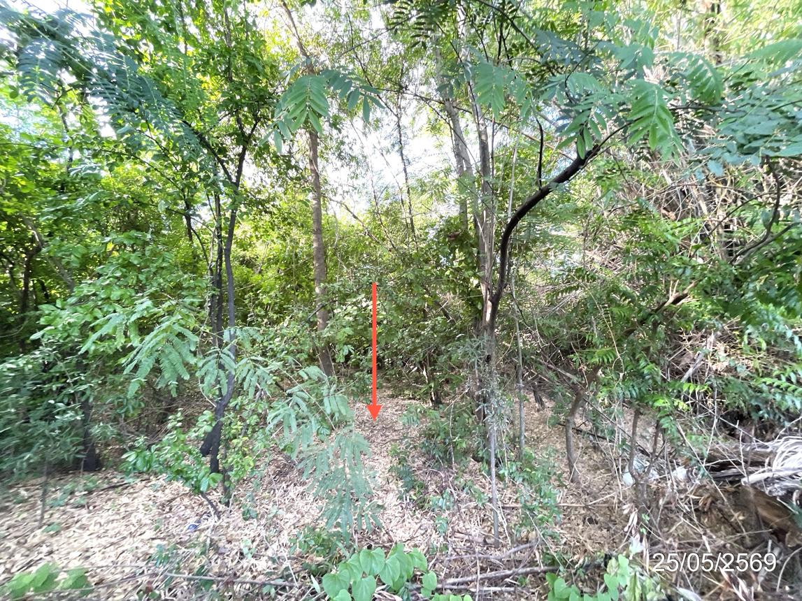 รูป ที่ดินว่างเปล่า 2134.8 ตร.วา วิเชียรบุรี เพชรบูรณ์ 5.6M - รูปที่ 25/30