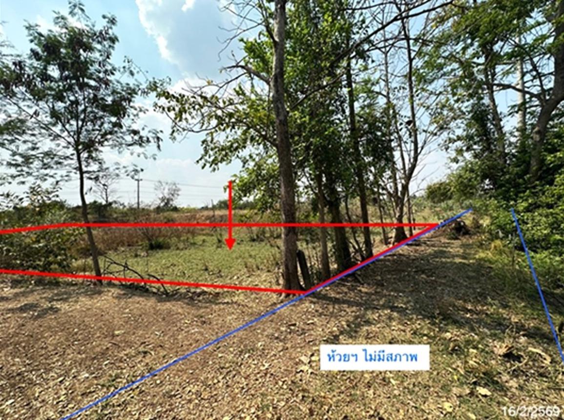 picture LAND 205 Sq.w. Dong Charoen Phichit for 431,000 - 8/16