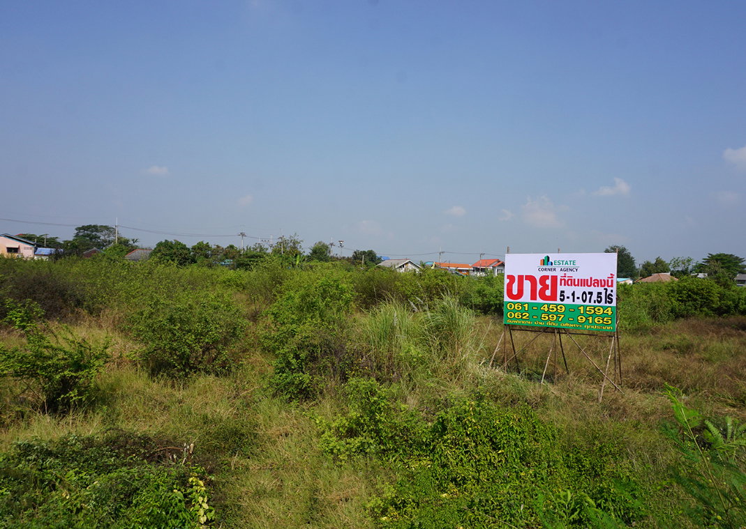 รูป ขายที่ดิน ราชพฤกษ์ - ถนน 346 บางหลวง ปทุมธานี - รูปที่ 3/17
