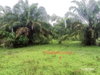 listing thumbnail image 15