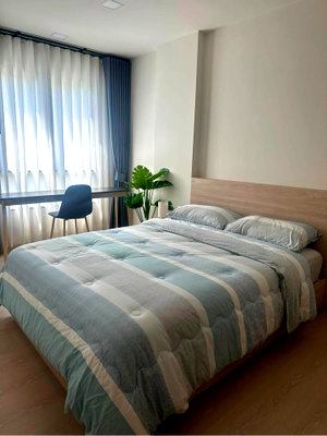 Condos for rent 62 BLOCS Market : Condo for rent at The Base Srichan.