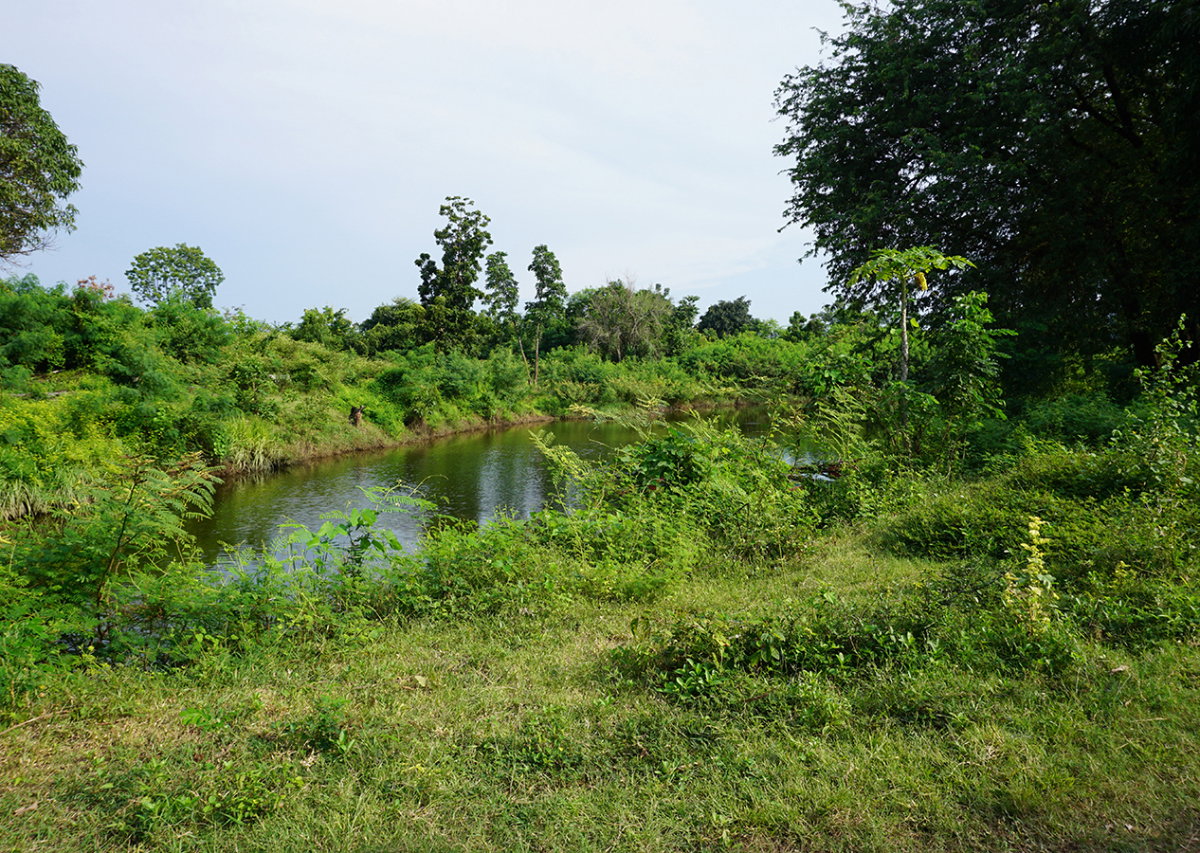 picture Land for sale, Soi Kaeng Khoi Power Plant 2, Kaeng Khoi, Saraburi. - 3/24