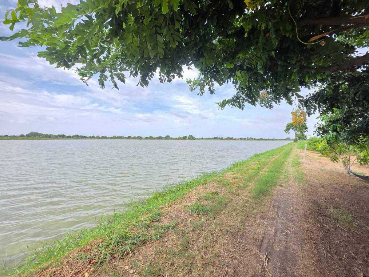 รูป ขายที่ดิน เปล่า 100 ไร่ สมุทรปราการ - รูปที่ 3/6