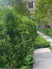 listing thumbnail image 19