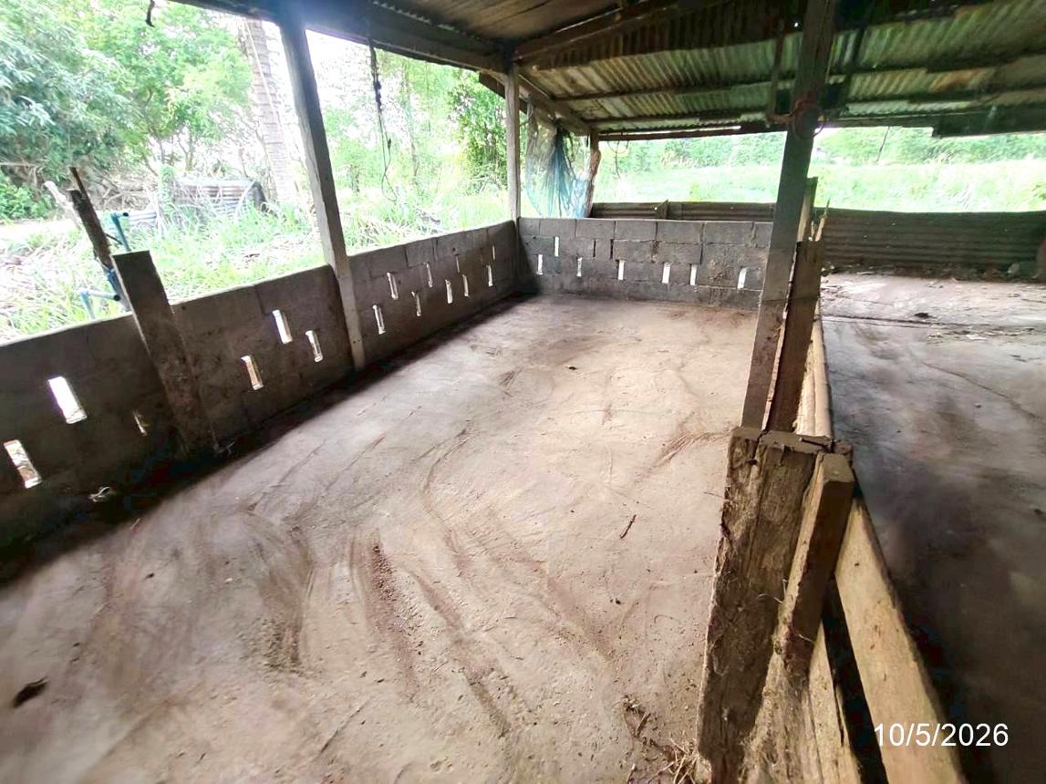 รูป บ้านเดี่ยว 830 ตร.วา บำเหน็จณรงค์ ชัยภูมิ 2.5M - รูปที่ 45/54