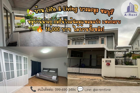 SP136📍ให้เช่า (For Rent) Life & Living บางละมุง ชลบุรี Tel: 064-242-6068,099-690-3486