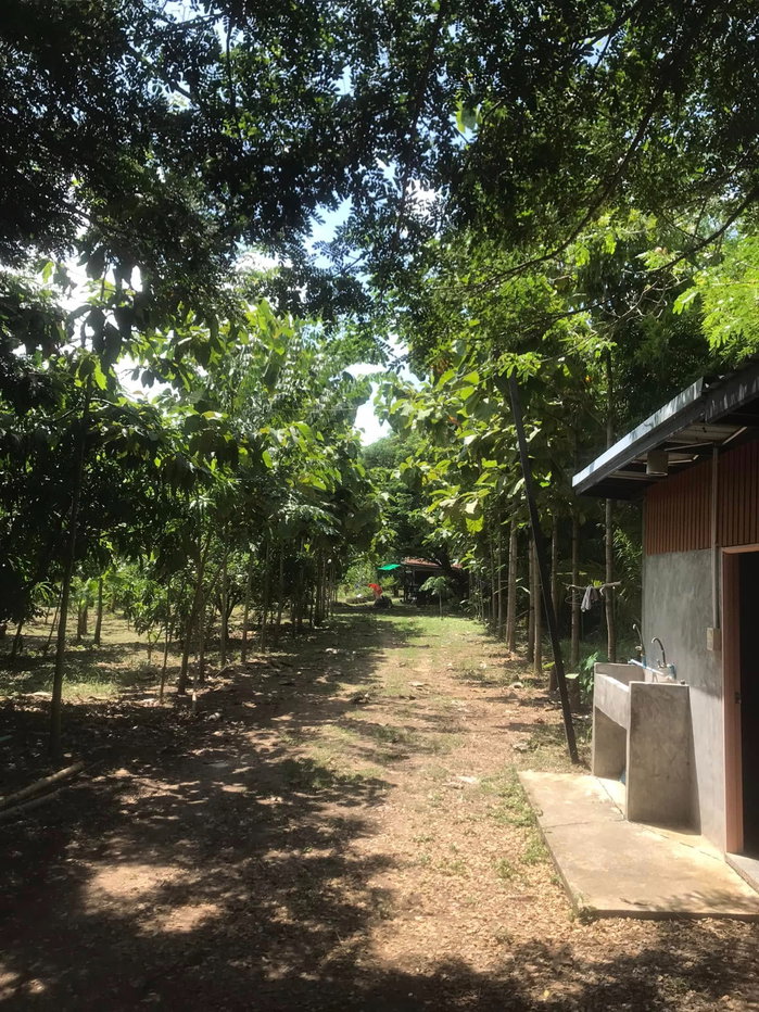 picture Land for Sale with Former Restaurant Building and Agricultural Garden - 6/14
