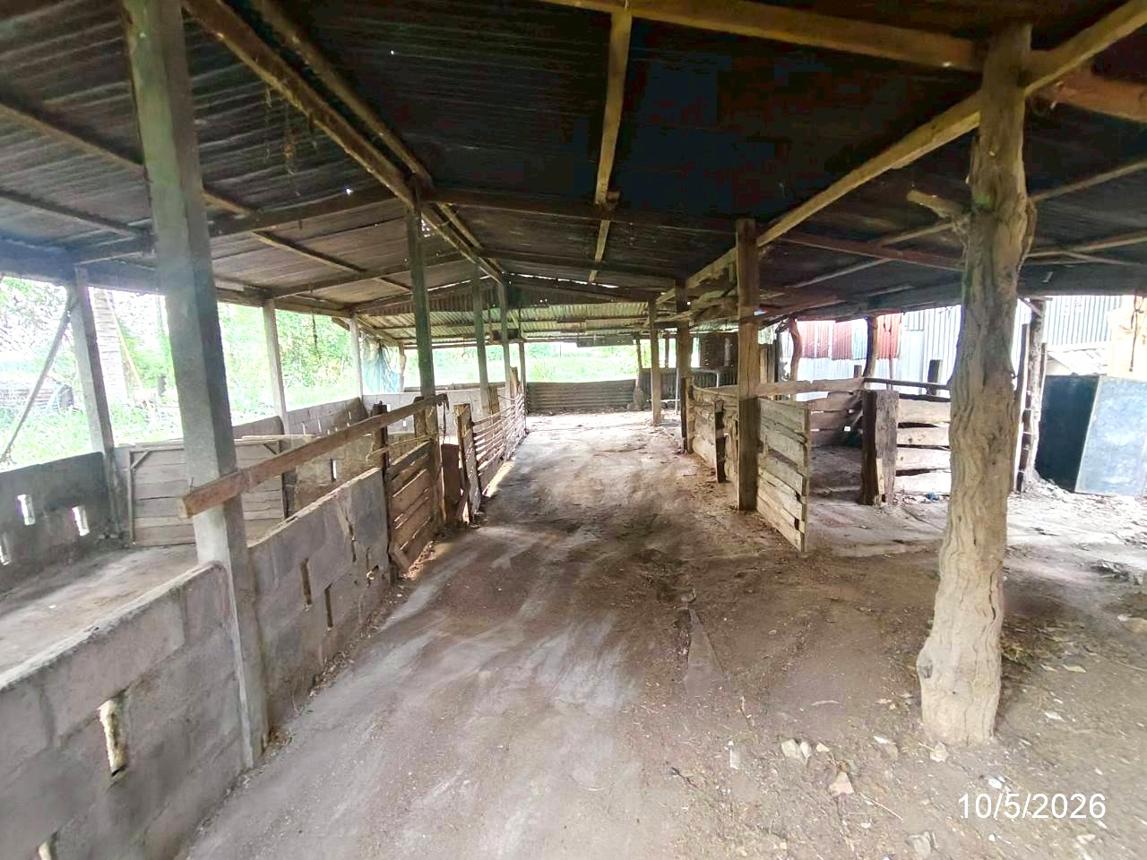 รูป บ้านเดี่ยว 830 ตร.วา บำเหน็จณรงค์ ชัยภูมิ 2.5M - รูปที่ 44/54