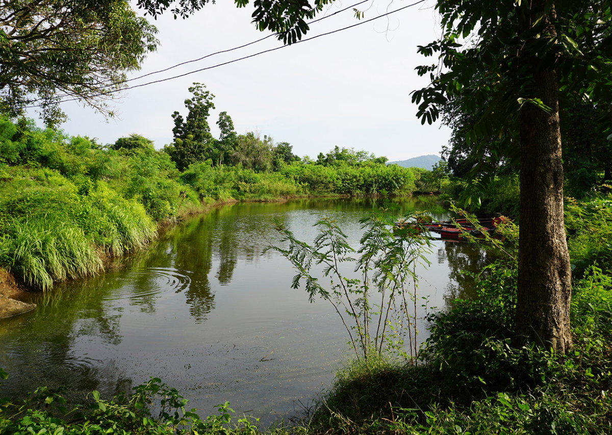 picture Land for sale, Soi Kaeng Khoi Power Plant 2, Kaeng Khoi, Saraburi. - 6/24