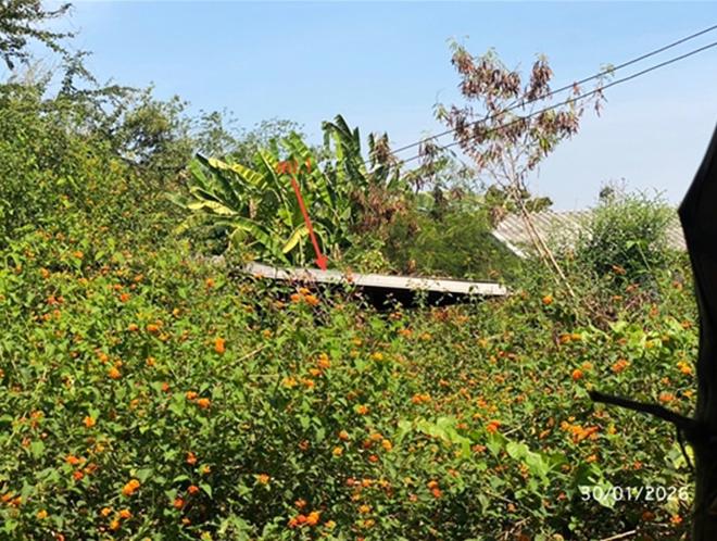 รูป บ้านเดี่ยว 436 ตร.วา พนมทวน กาญจนบุรี 1M - รูปที่ 2/14
