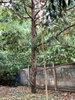 listing thumbnail image 8