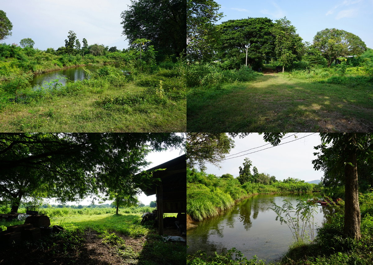 picture Land for sale, Soi Kaeng Khoi Power Plant 2, Kaeng Khoi, Saraburi. - 7/24