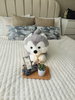 listing thumbnail image 4