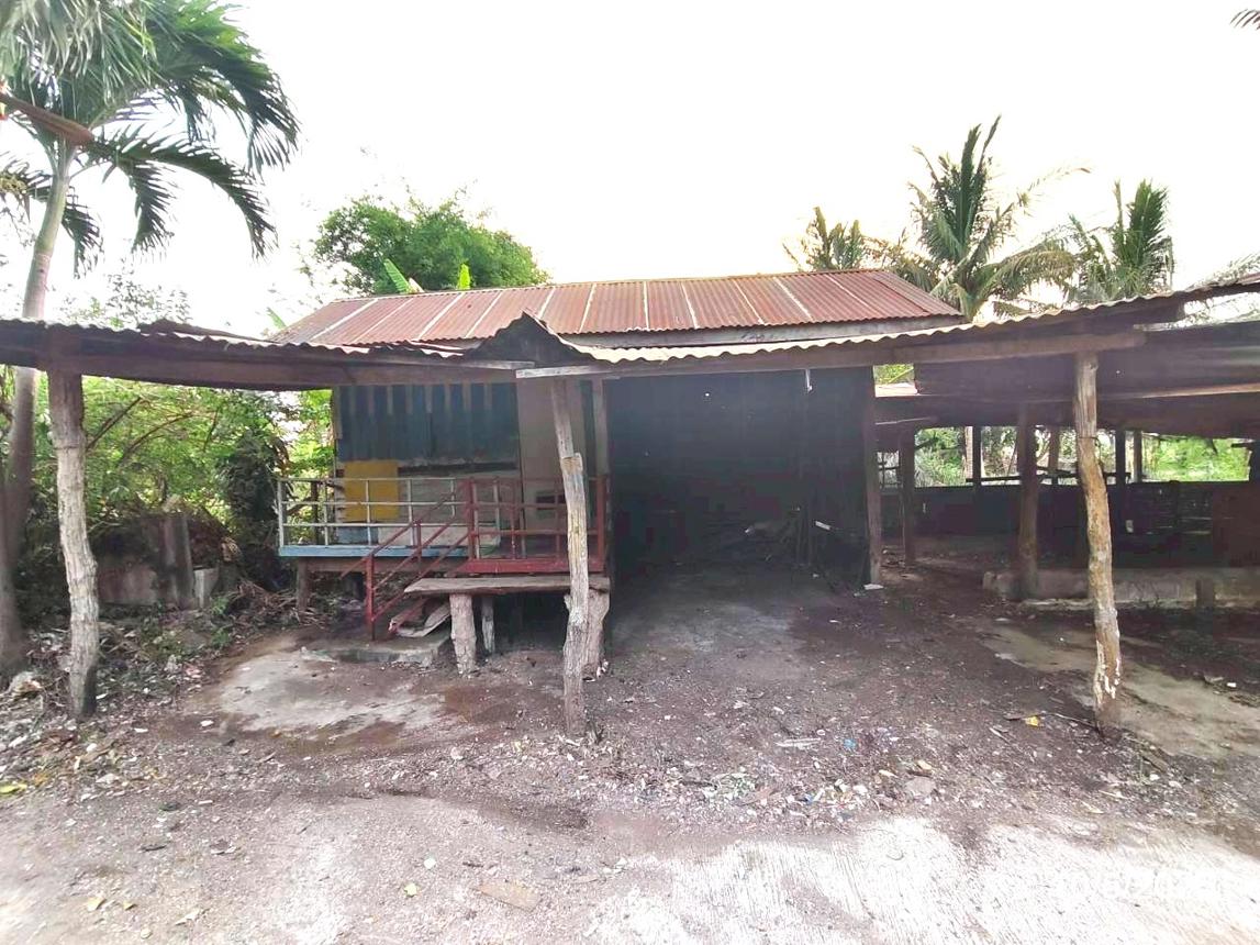 รูป บ้านเดี่ยว 830 ตร.วา บำเหน็จณรงค์ ชัยภูมิ 2.5M - รูปที่ 43/54