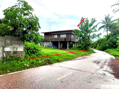 Houses for sale Udon Thani : HOME 146 Sq.w. Thung Fon Udon Thani for 705,000