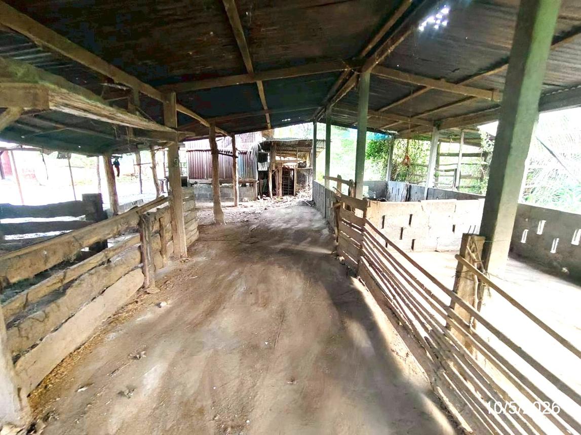รูป บ้านเดี่ยว 830 ตร.วา บำเหน็จณรงค์ ชัยภูมิ 2.5M - รูปที่ 46/54