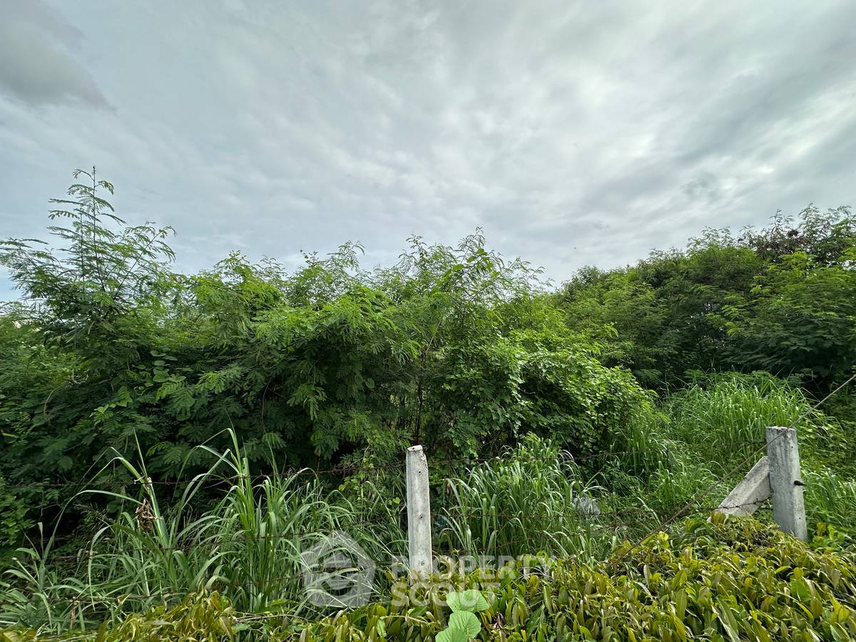 รูป ที่ดินเปล่า ขาย ในเขตประเวศ ใกล้ ARL บ้านทับช้าง (ID 3110833) - รูปที่ 2/3