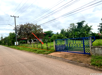 ที่ดิน สกลนคร : ที่ดินว่างเปล่า 196 ตร.วา พรรณานิคม สกลนคร 490,000