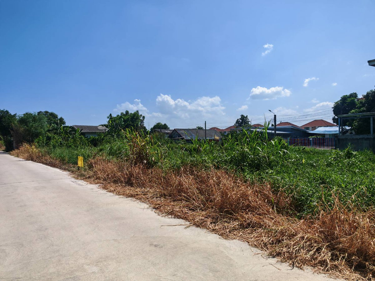 รูป ขายที่ดินเปล่า พื้นที่ 90 ตร.ว.ซอยมิตรอารีย์ 1 ถ.บางกรวย-ไทรน้อย บางบัวทอง นนทบุรี ห่างจากถนนหลัก 190เมตร - รูปที่ 7/9