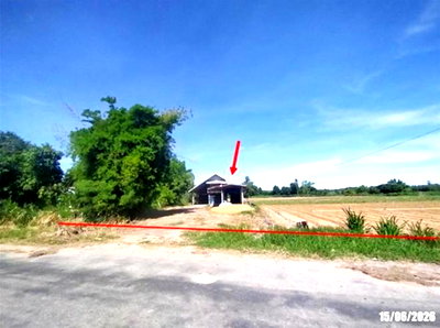 Houses for sale Muang Udon Thani Udon Thani : HOME 3045 Sq.w. Muang Udon Thani Udon Thani for 4.2M