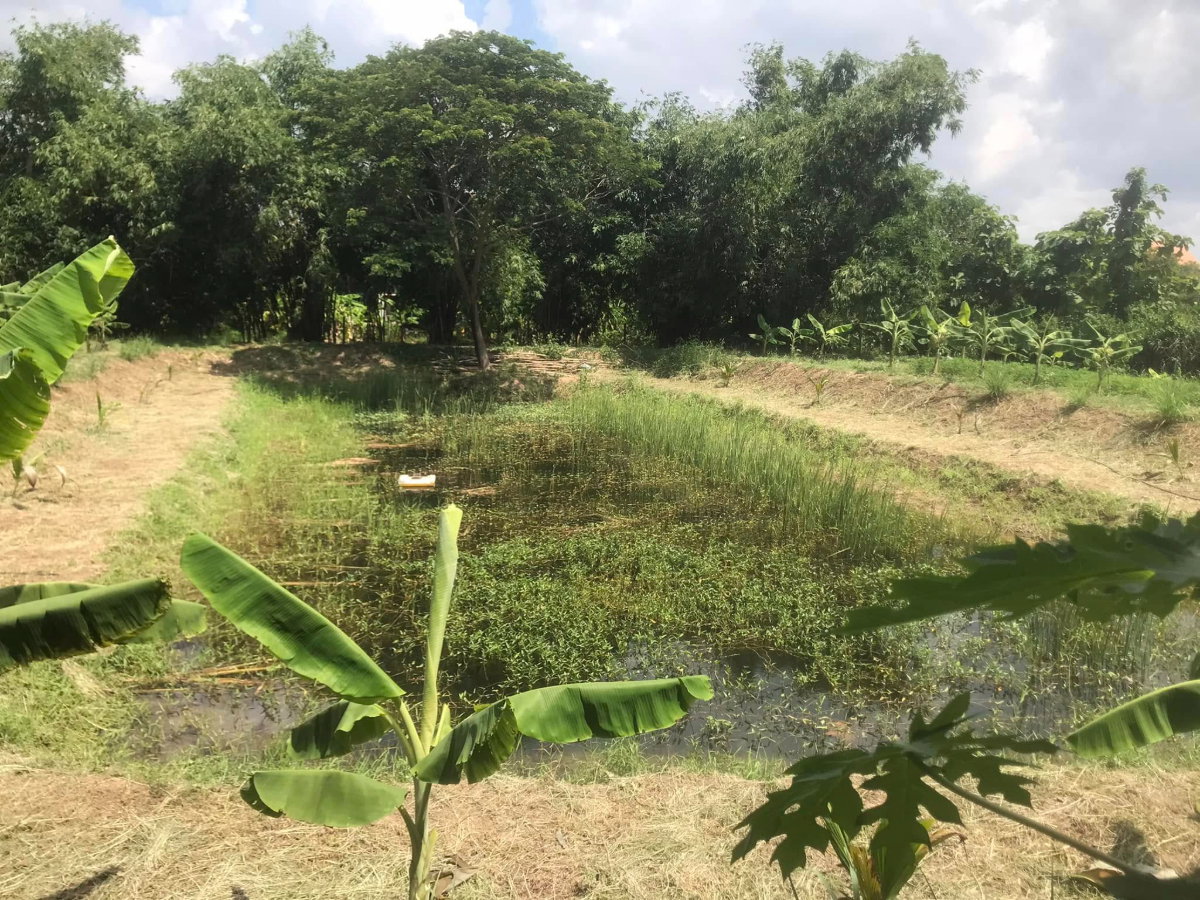 picture Land for Sale with Former Restaurant Building and Agricultural Garden - 8/14